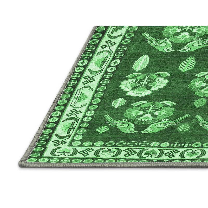 Lucertia Washable Southwestern Indoor Rug, Rectangle 6' x 9'