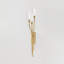 AMALTHEA Wall Sconce