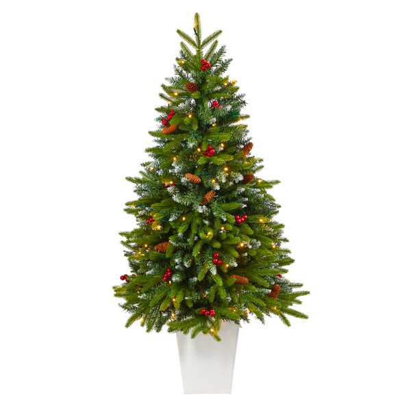 The Holiday Aisle® Portland Easy Set-Up 4.7' Lighted Christmas Tree ...