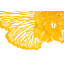 Flower Wall Décor-573443686
