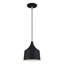 Luminaire suspendu Catrinia-121436243
