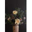BOTANICA # 3436