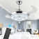 Fenisia 42'' Ceiling Fan with LED Lights