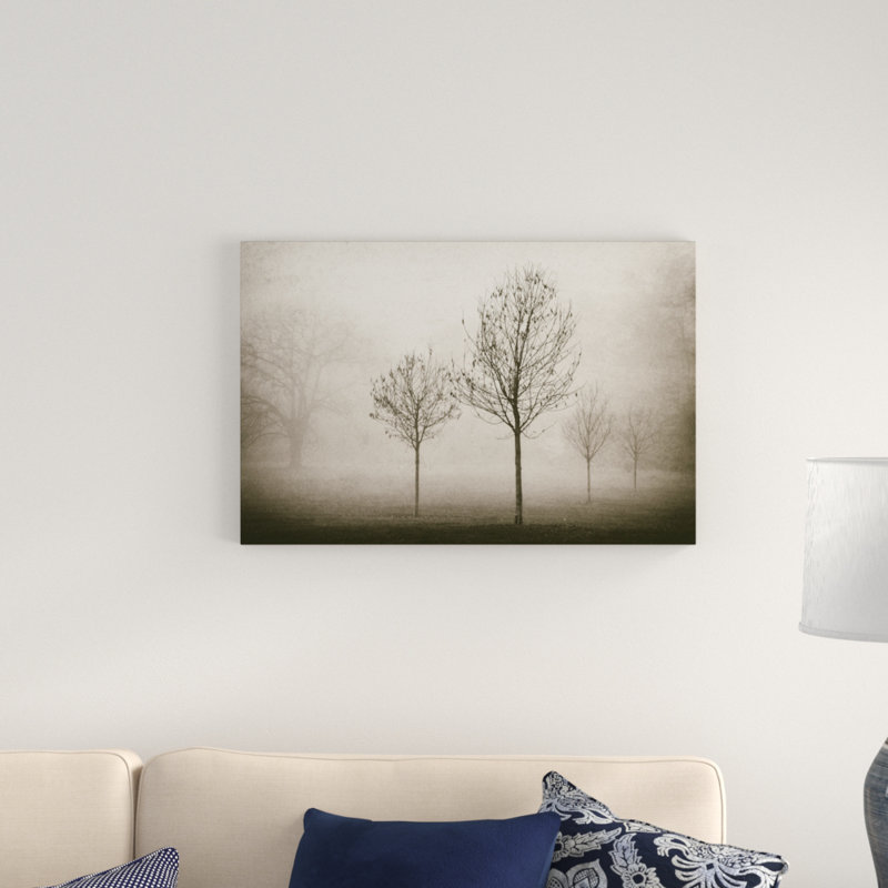 Trees in Fog VII by Jody Stuart - Photograph Print, Wrapped Canvas, 51cm H x 76cm W