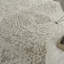 Braidwood Oriental Area Rug-23402410