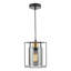 1 - Light Matte Black Caged Pendant