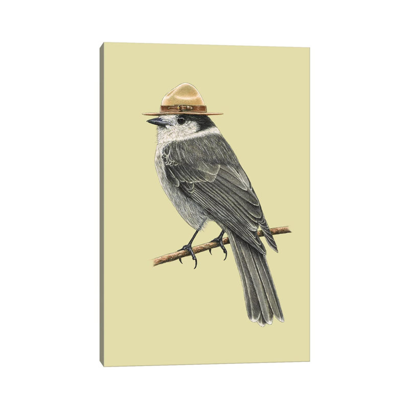 «Canada Jay» par Mikhail Vedernikov - Giclée sur toile tendue avec châssis, H 12 po x l 8 po x P 0,75 po