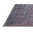 Oriental Indoor Rug-1464641925