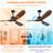 Quiet Reversible DC Motor Aviation Inspired Modern Ceiling Fan No Light Matte Black