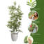 Pot en bambou artificiel-779393078