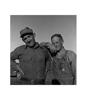 " Heads Of Families On The Mineral King Cooperative Farm " by Dorothea Lange