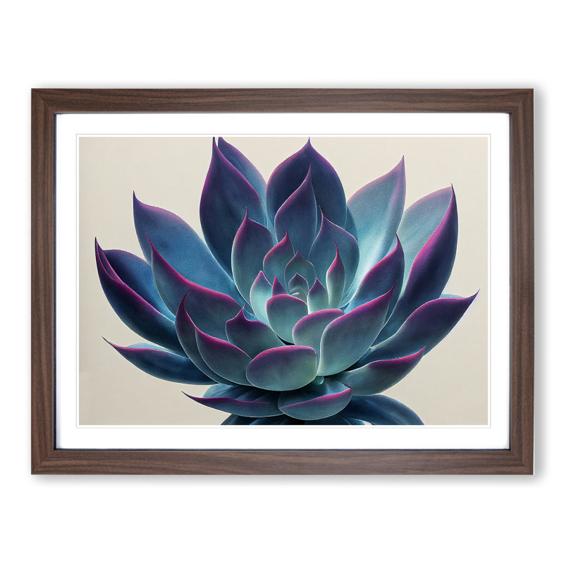 Watercolour Succulent Plant Vol.3 - Single Picture Frame Print, 46cm H x 64cm W, Brown