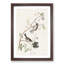 Canadian Titmouse Birds by John Audubon - Picture Frame Painting Print-55513829-55513830