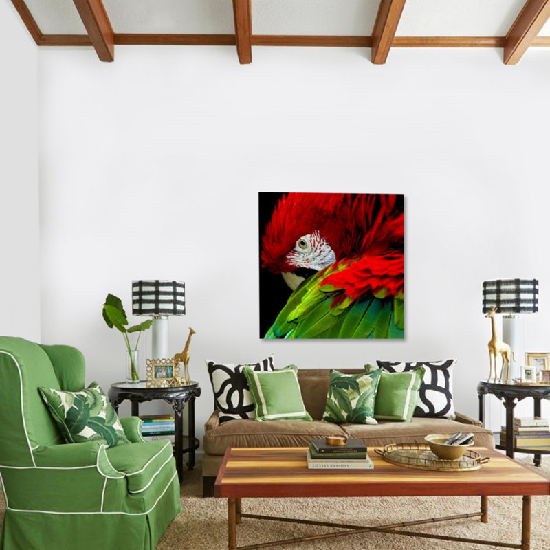 Parrot Pose Print, 55" H x 55" W x 1.5" D, Acrylic