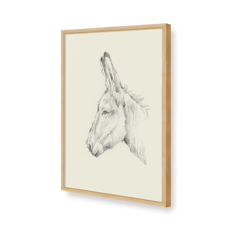 «Donkey Study II» par Ethan Harper, reproduction d'art sur toile, Tanné, Impression sur cadre ouvert sans papier mat