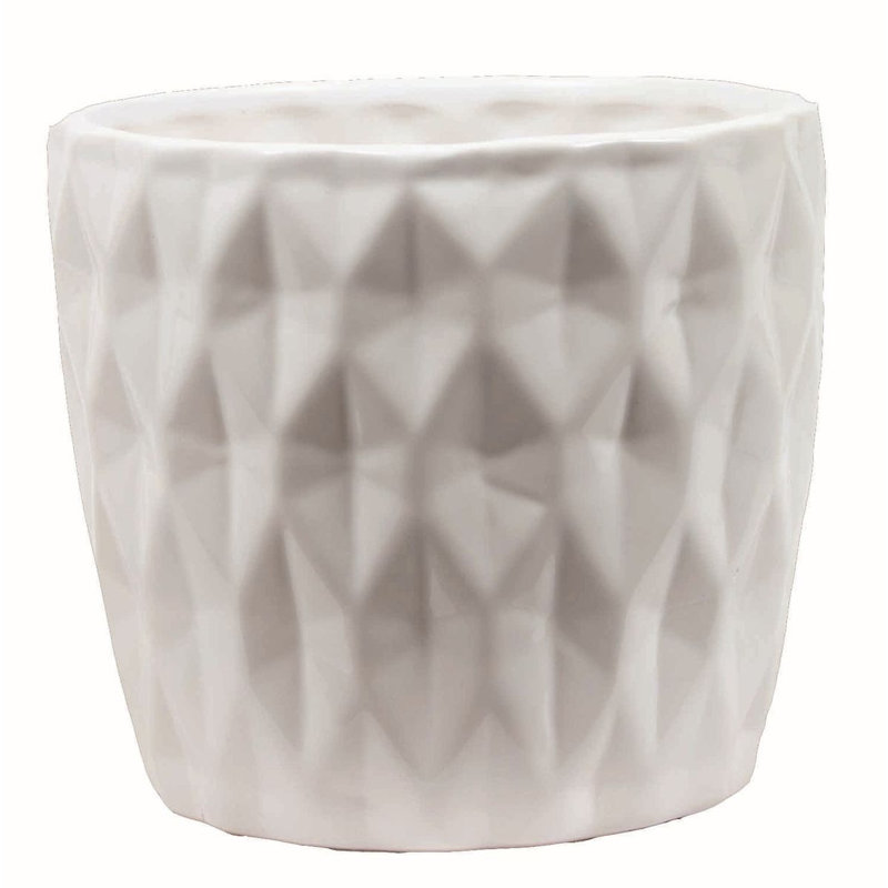 Deidrich Ceramic Pot Planter, White