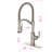 Vetta Pull Out Kitchen Faucet-100516448