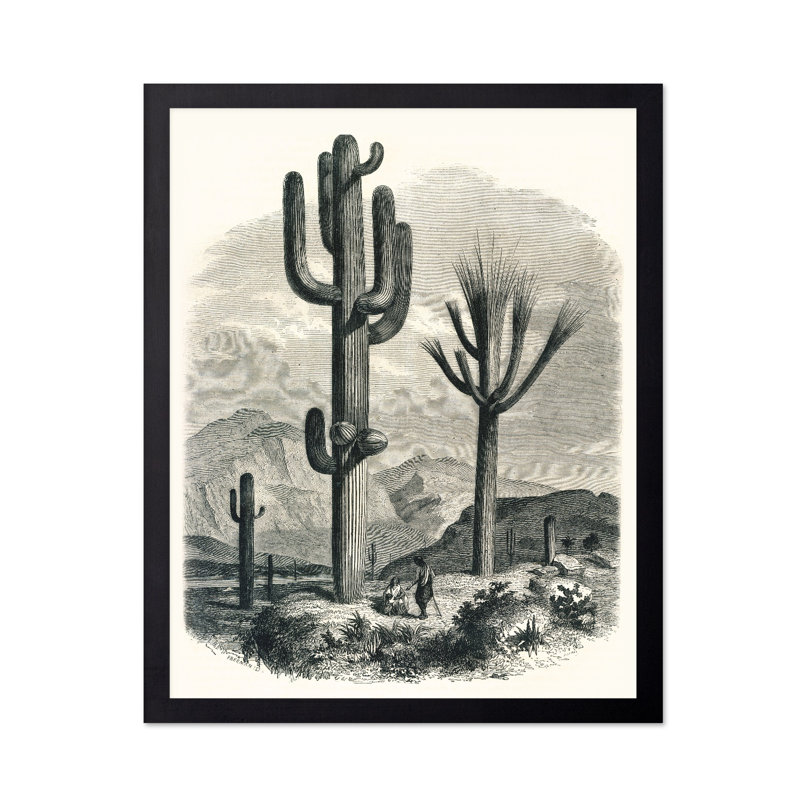 Cactacées de la limite, Black Framed, Poster, 18"H x 24"W