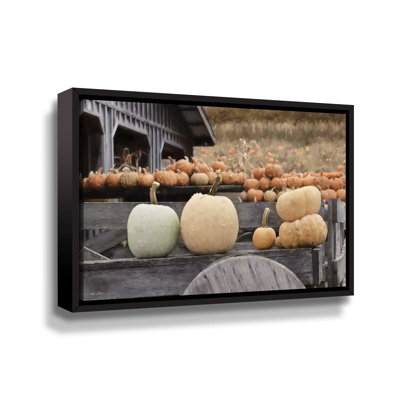 Récolte de citrouille d'automne - Photographie sur toile