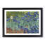 Irises by Vincent Van Gogh - Framed Print-62799957-62799958