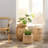 Dartavious Solid Wood End Table
