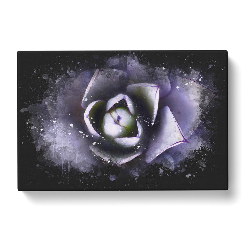 Lilac Succulent Plant - Wrapped Canvas Painting, 50cm H x 76cm W x 3cm D
