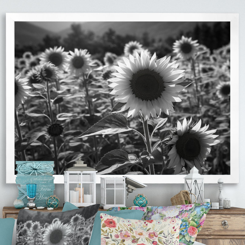 «Black White Sunflower Filed II - Floral», reproduction sur toile encadrée, Cadre photo blanc, H 12 po x l 20 po x P 1 po