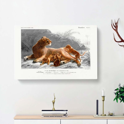 African Lion with Cubs - Wrapped Canvas