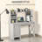 Computer Desk Home office Desk with Cabinet-1934807896