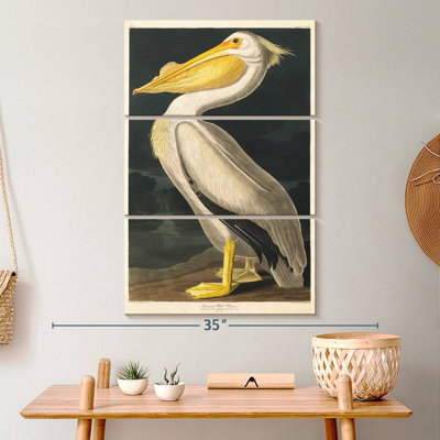 Ensemble de 3 pièces sur toile American American Pelican