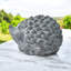 Garden Statue-1785783112