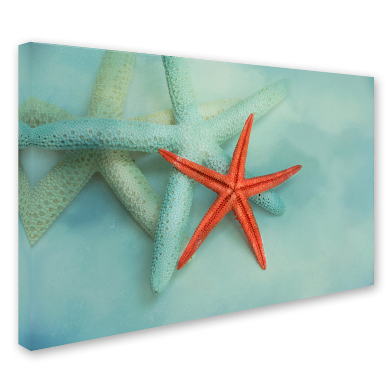 «Ocean Treasures» de Vidur, impression sur toile tendue, H 22 po x l 32 po