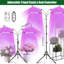 Maker Network Grow Light