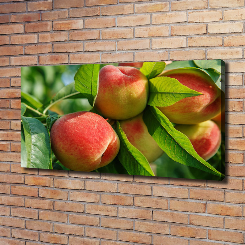 Peaches 1 Piece Wrapped Canvas Wall Art