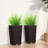 2 Pack Plastic Planter Pots With Drainage Holes