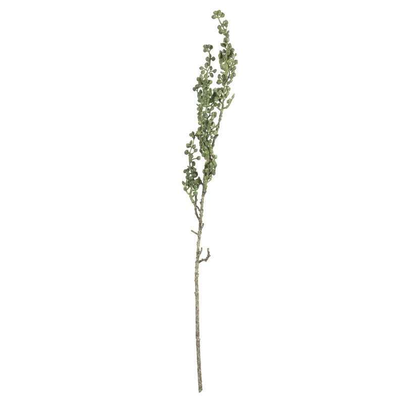 Senecio Arrangement