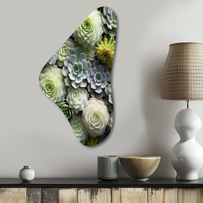 Nixon - Succulent Boomerang Shape Irregular Metal Wall Decor