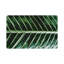 Tropical Leaf Vegan Leather Rectangle Pebble Placemat-1796008030