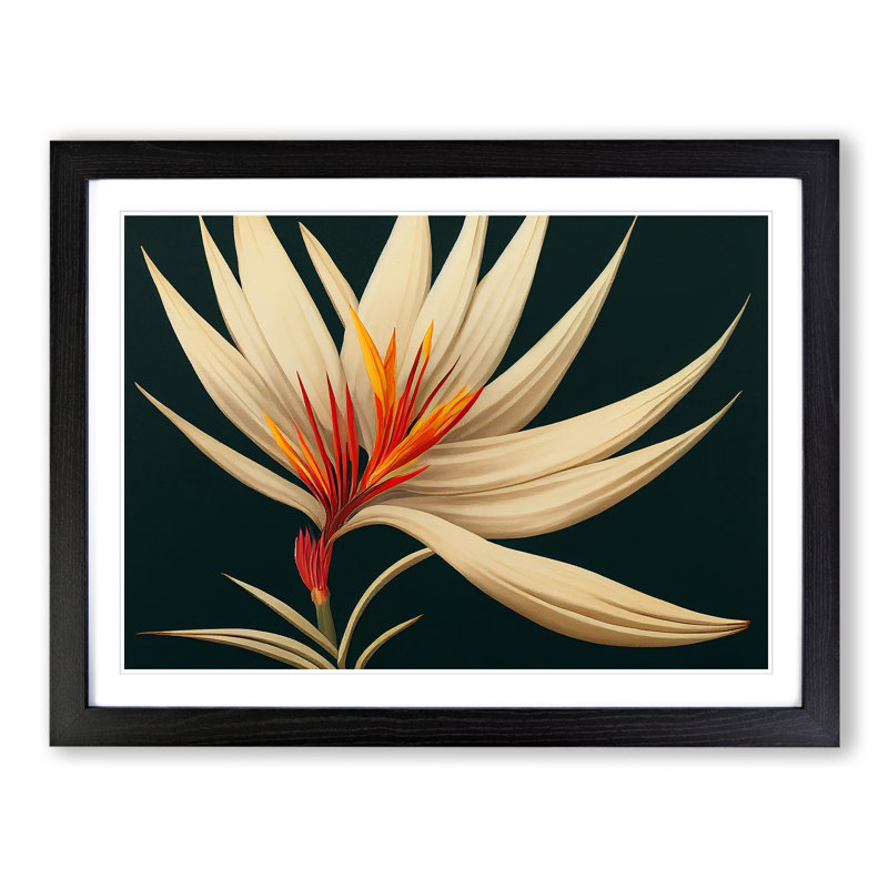 XH1022-8893X The Bird Of Paradise Flower Vol.4 1 Piece Single Picture Frame Wall Art, 25cm H x 34cm W x 2cm D, Black Framed