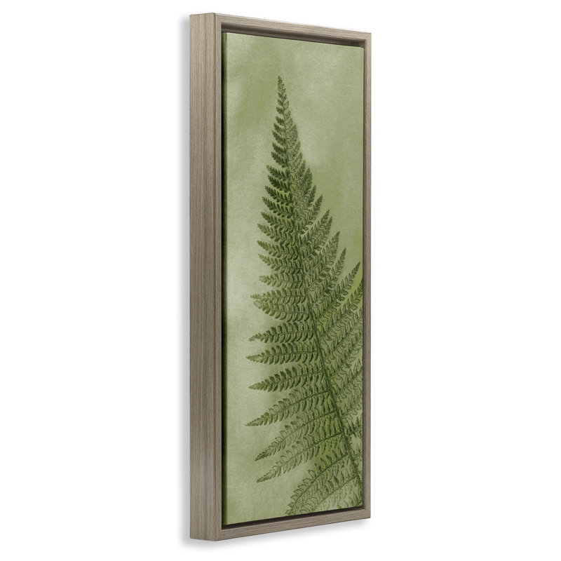 Feuille de fougère verte détaillée, Cadre flottant orme Montalcino, H 31 po x l 15 po