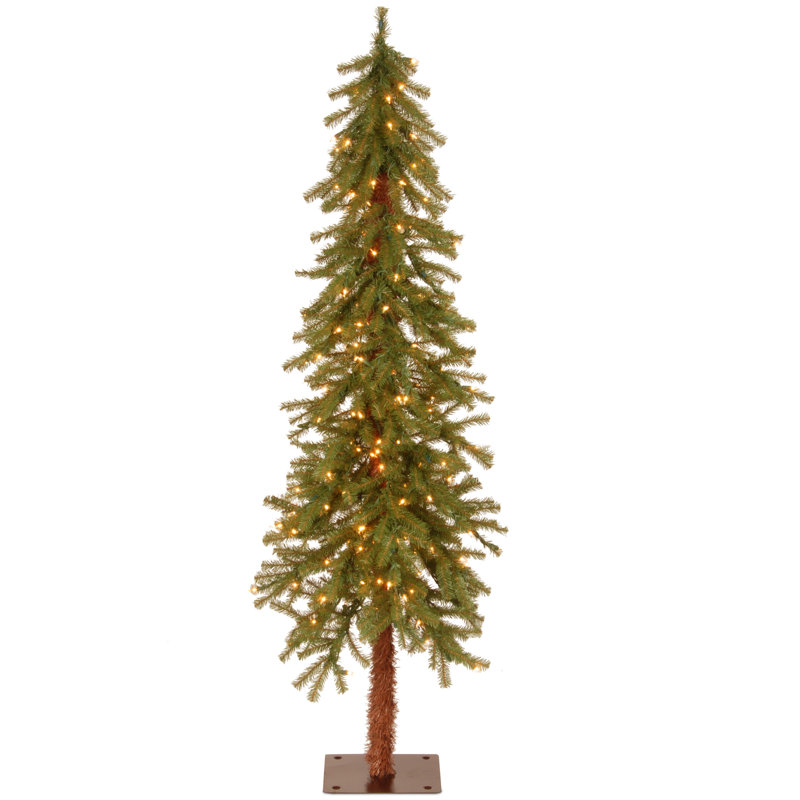 Hickory Cedar Tree, 5', Not Pre-Lit