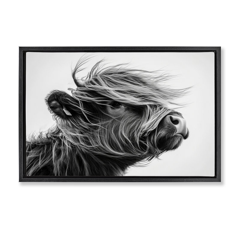 Cadre flottant Handsome Highland Portrait, design par Tina LeCour, H 17 po x l 25 po, Cadre flottant noir de jais