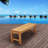 Anautica 4 - Person Teak Solid Wood Patio Dining Set Umbrella Hole Included Rectangular Table