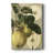 " Apple Harvest I "-7104795