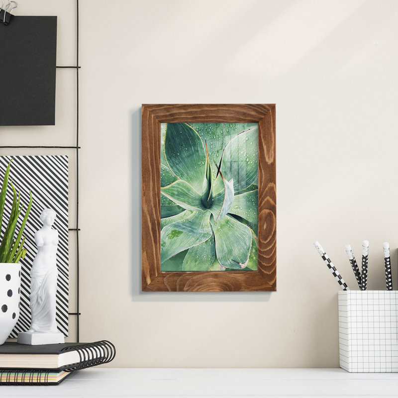 Green Tropical Succulent I " Green Tropical Succulent I ", 6" H x 4" W x 1" D, Walnut