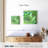 Harnek Exotic Succulent-109389185