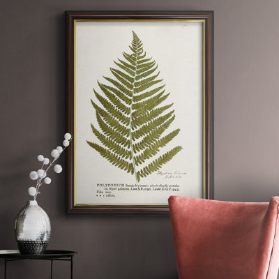 " Nature Printed Ferns II "