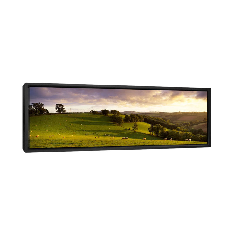 «Sheep Grazing in a Field, Bickleigh, Mid Devon, Devon, England», reproduction de photo sur toile, Toile avec cadre noir