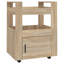 60 Cm Kitchen Trolley-1966200245