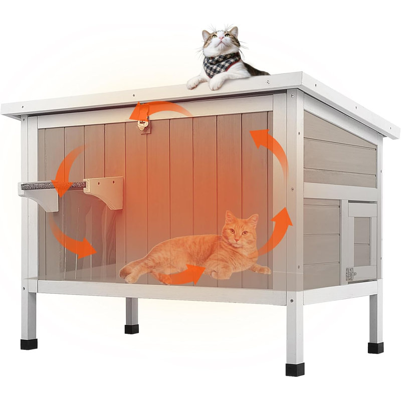 Maison de chat insultée